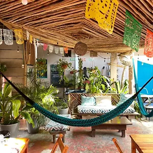 Barco Hostel Isla Holbox